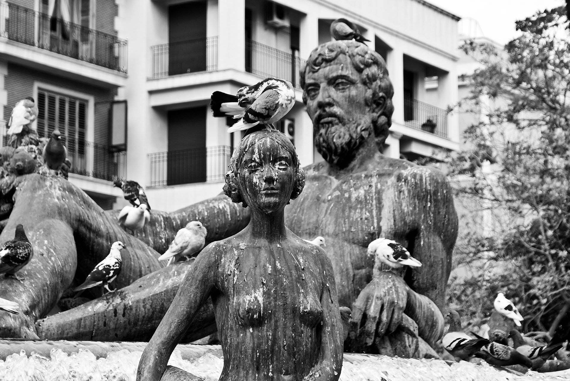 A statue in a public square in Valencia covered in pigeon feces,